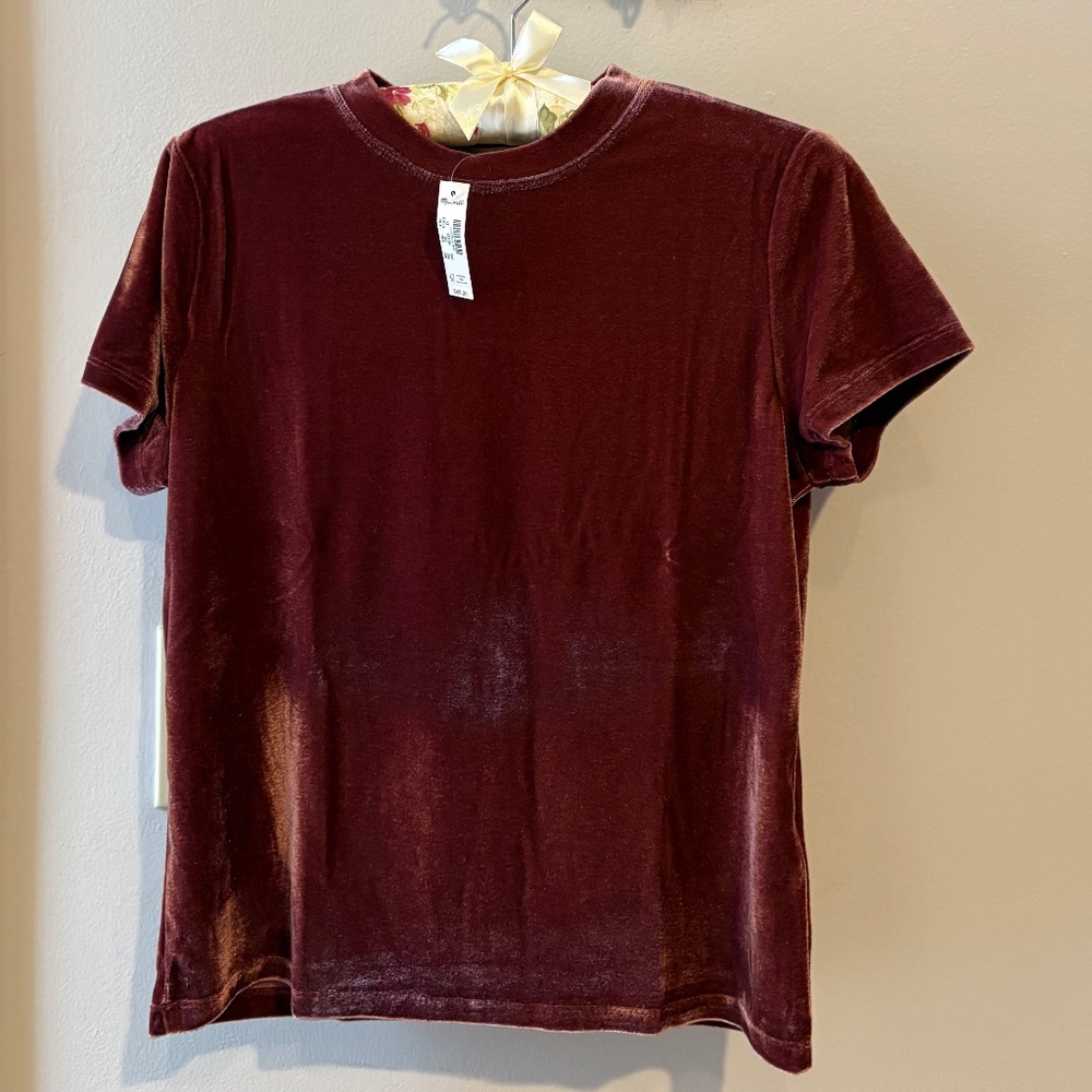 NWT Madewell Relaxed Tee in Velvet